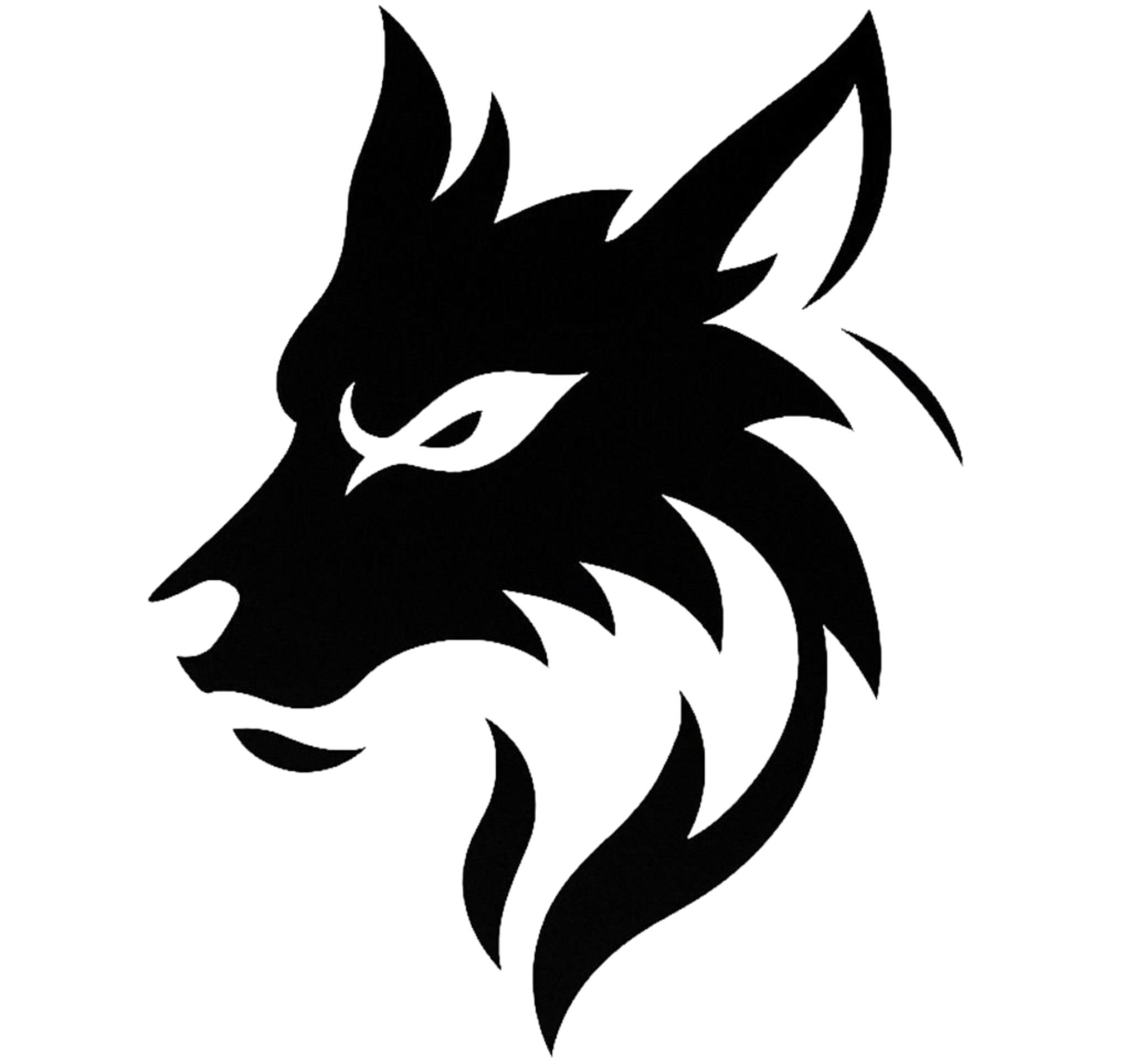 DEMONIC AURA ~WEAR THE DARKNEES